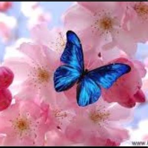 Meet your Posher, Dalia